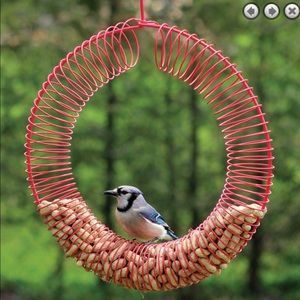 Bird & Squirrel Feeder, Whole Peanuts